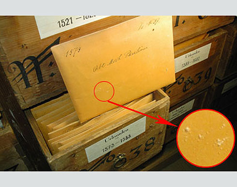  Bild 2: Auf den Briefumschlgen ist Wurmmehl ersichtlich (helle Punkte). 